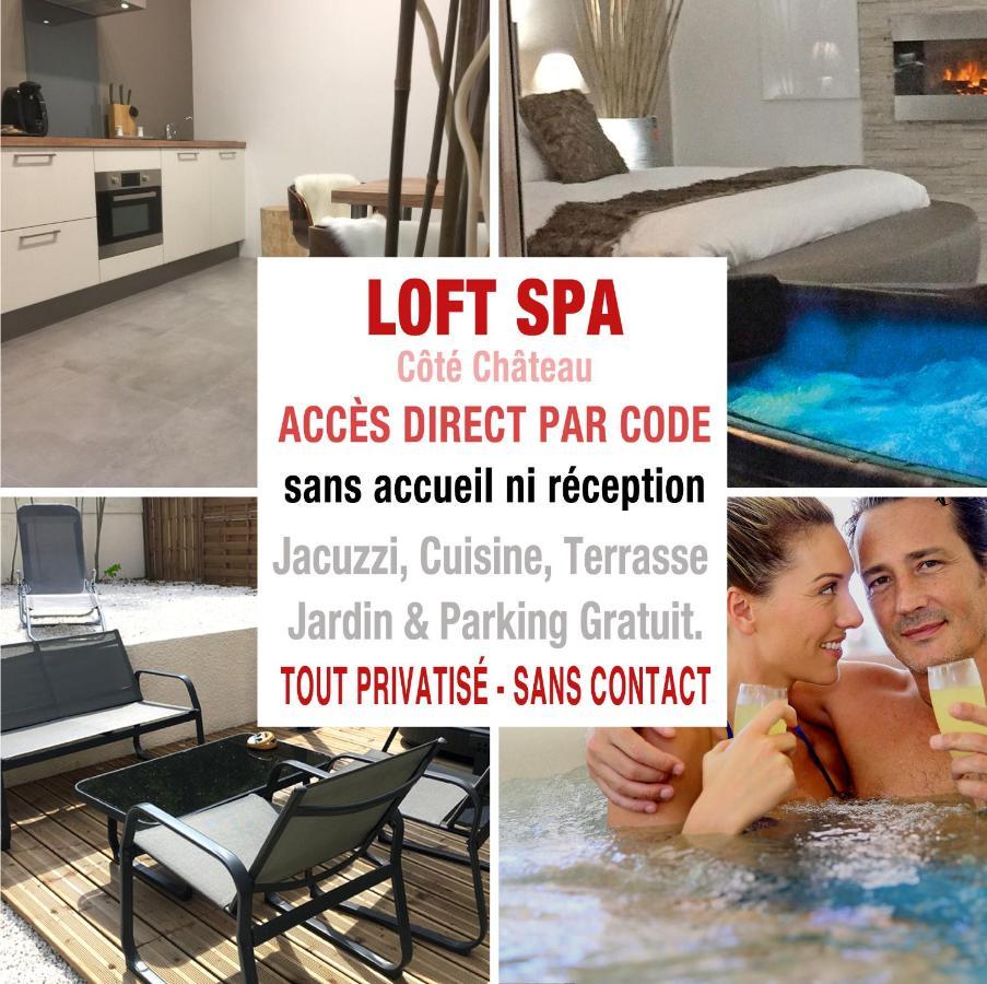 Loft Spa - Cote Chateau. Carcassonne Exterior photo